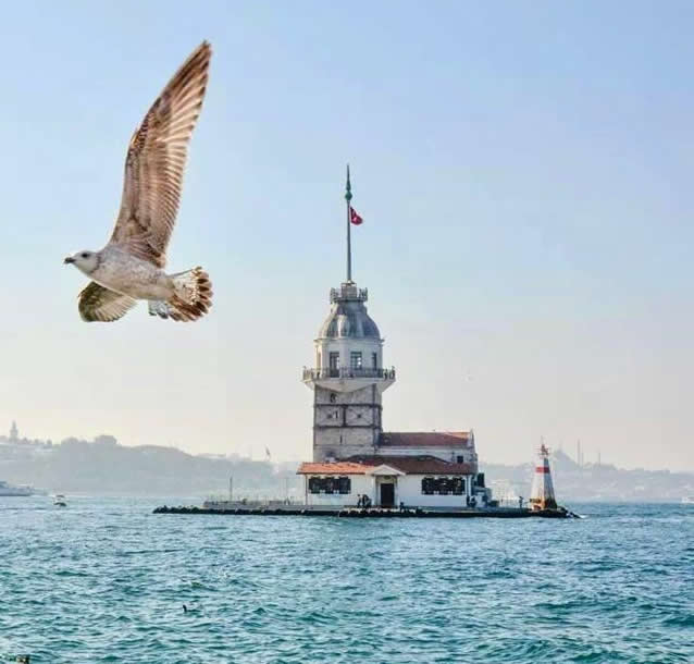 canakkale-truva-heykeli